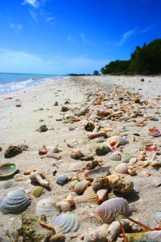 Фото 18 марта