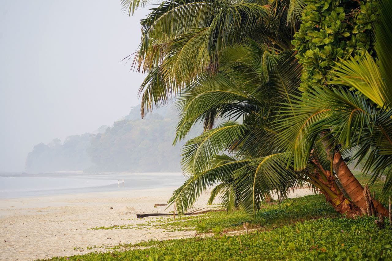 Фото 19 марта