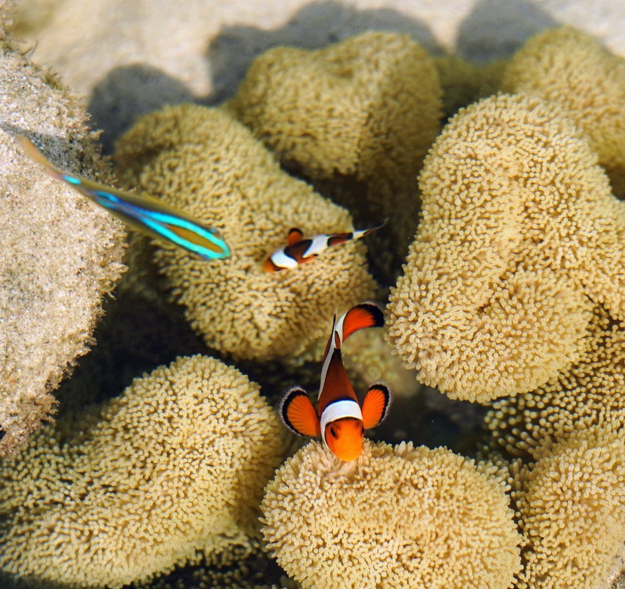 Фото 19 марта