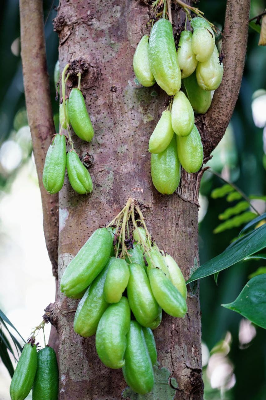 Фото 20 марта