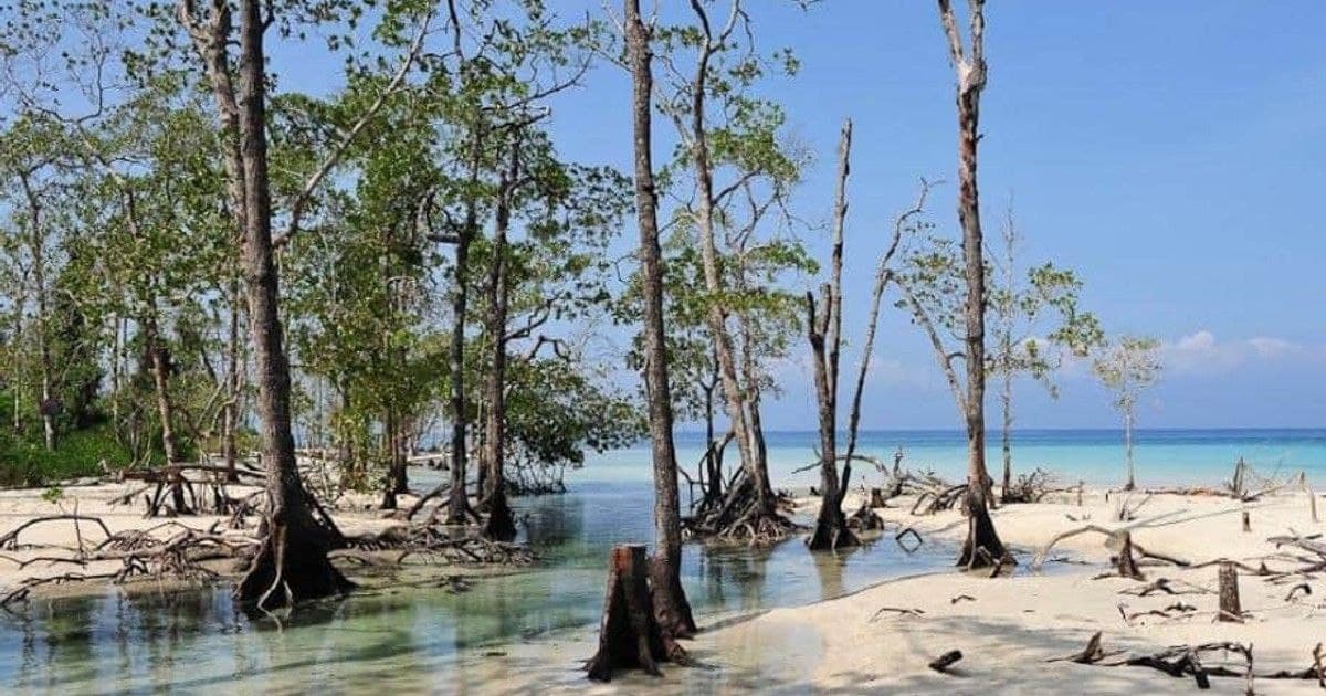 Фото 23 марта