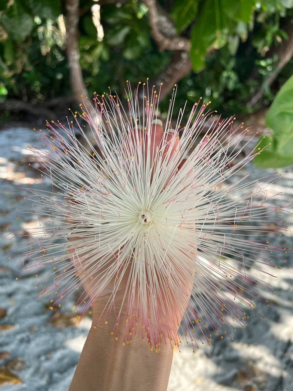 Фото 24 марта