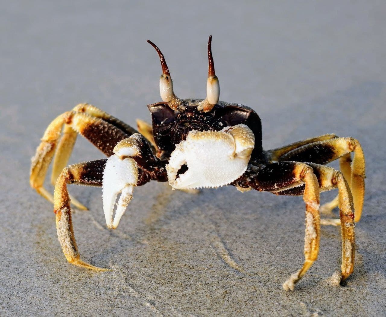 Фото 16 марта